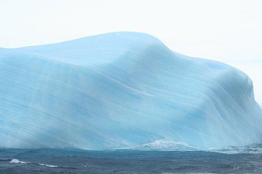 antarctic.jpg
