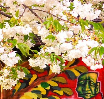 blossom.jpg