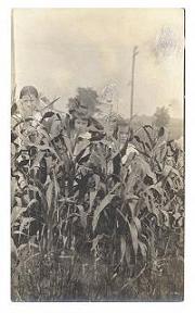 corn.JPG