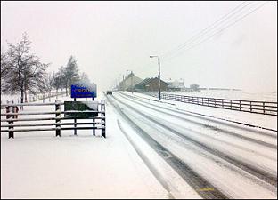 _44333231_snowgolledge.jpg