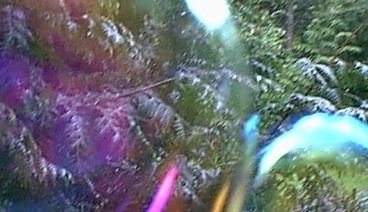 bubble.jpg