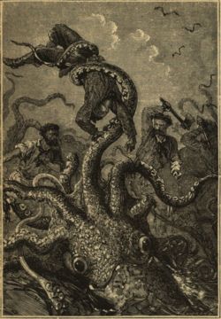 250px-20000_squid_holding_sailor.jpg