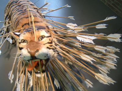 tigerarrow.jpg