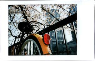 sakura-bike