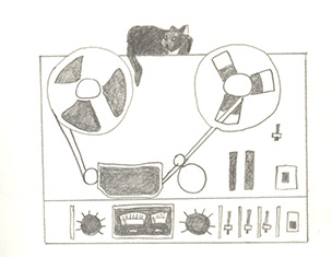 a cat which links to the work section